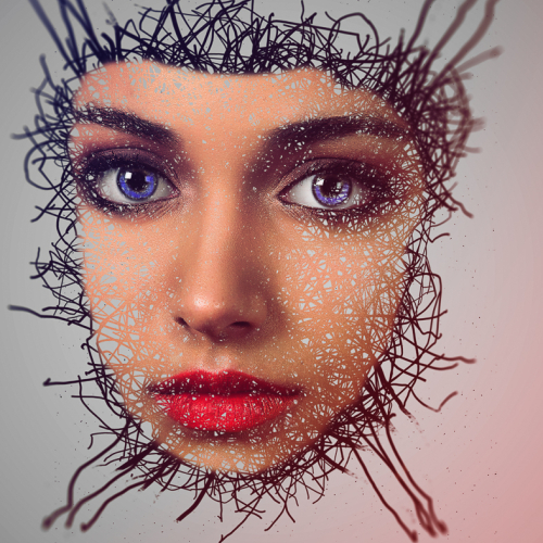 Honour Award - Phillip Shapiro - Chaotic Beauty