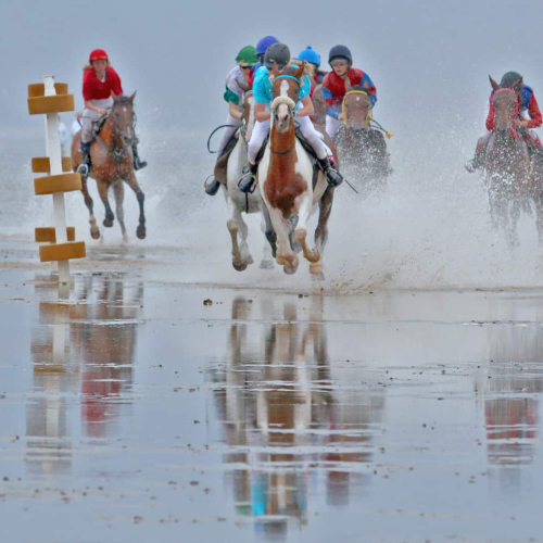 Honour Award Photographic Guild Of Nova Scotia Keith Vaughan SPO Mudflat Gallop Racing No 5 