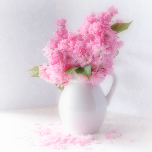 Honour Award Randall Epp Pink Perfection
