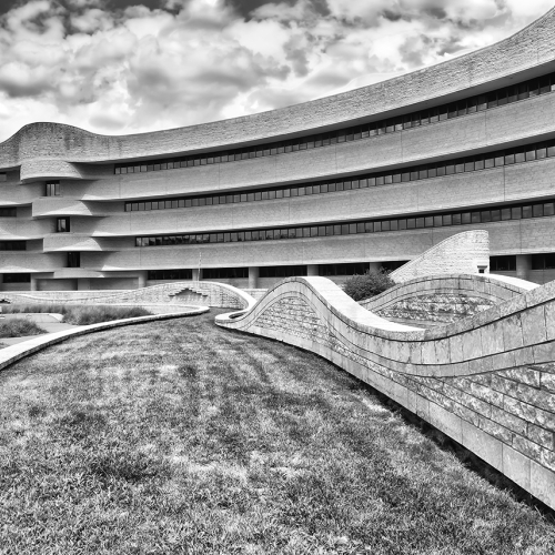 Honour Award Rhonda Starr Flowing Lines And Curves