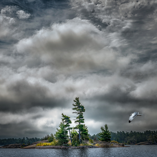 Honour Award Rick McKenzie Island Of The Clouds
