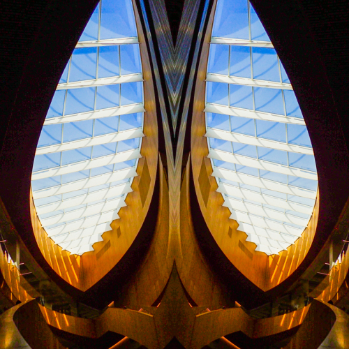 Honour Award Ruth Ball Eyes Wide Open