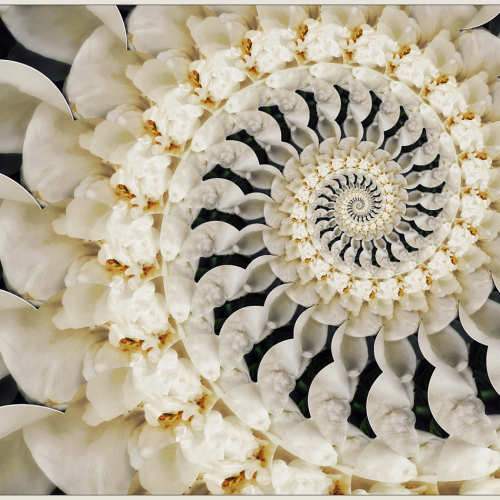 Honour Award Sonja Klapper Aria Spiral