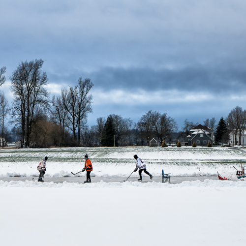 Honour Award Surrey Photo Club Tanner Sussi Shinny On The Pond