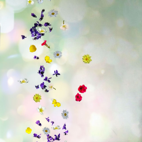 Honour Award - Theres Frenette - Spring In The Air