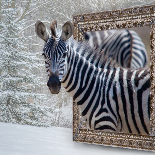 Honour Award Toronto Camera Club MaryAnn Griffin   So This Is Winter