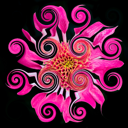 Honour Award Yiing Shi Flower