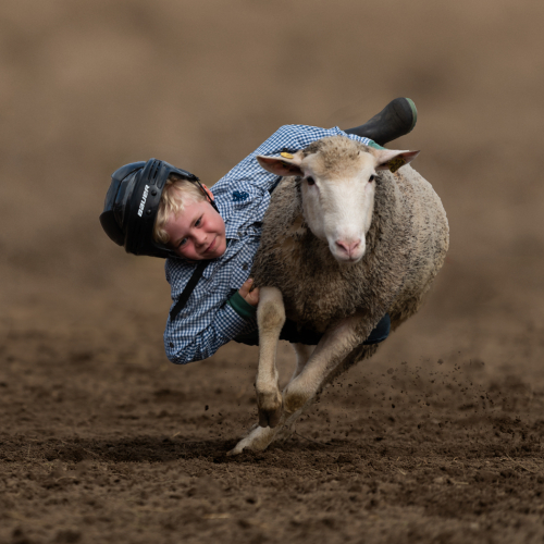 Honour Award Flora Rao Mutton Busting