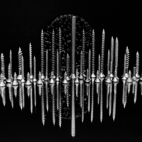 Honour Award Sylvia Rourke Screw Scape Curves And Lines