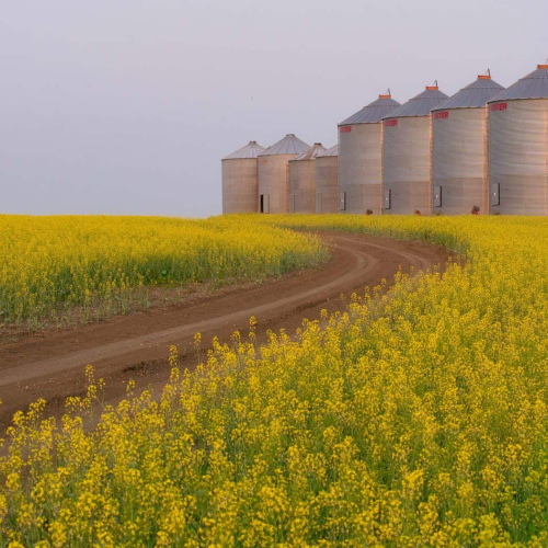 Honourable Mention Award Regina Photo Club Bill Armstrong Sunset On Twisters