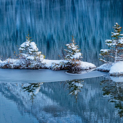 Honourable Mention Award Robert Royer FreezeUpStarts