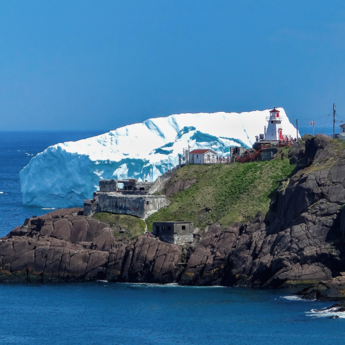 Lesleyanne Ryan Fort Amherst Berg