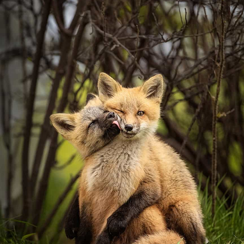Kiss Da Face Off Dat-Alicia Barrett