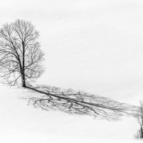 Paul Girouard Simplicity