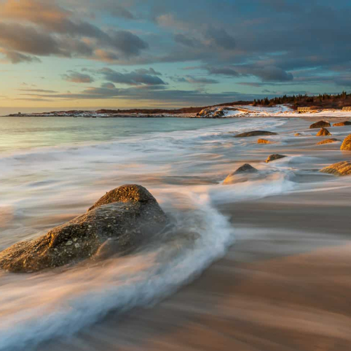 SILVER MEDAL Alex Macphee Morning Glow