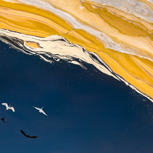 SILVER MEDAL Jiahua Elite Photography Association Yun Wang Flying To The Colorful Wave
