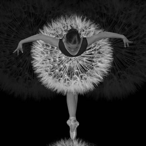 SILVER MEDAL Rhonda Starr Light And Delicate
