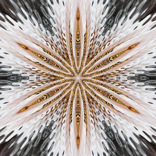 Silver Medal Gareth Jones Golden Snowflake