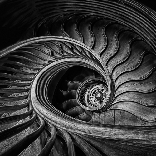 Silver Medal Jiahua Elite Photography Association Hong Chen Spiral