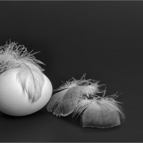 Silver Medal Judith Sgargi Feathers And The Egg