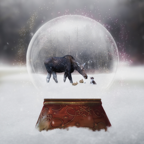 Silver Medal - Julie Brocca - Tis The Season For Magical Moments