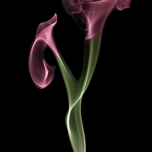 Silver Medal London Camera Club Up In Smoke