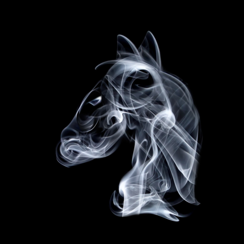 Silver Medal - Marie Algieri-Goldgrub - Smoke Art The Knight