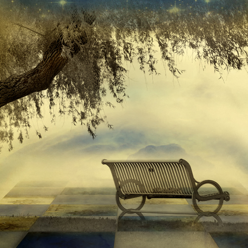 Silver Medal Rachel Bilodeau Serene Surroundings