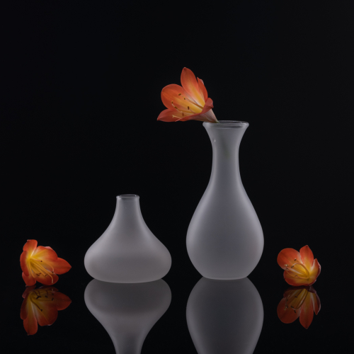 Silver Medal Richmond Hill Camera Club Qing Li Clivia