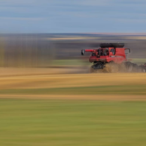 Silver Medal Saskatoon Camera Club Cathleen Mewis Getting The Crop Off