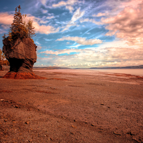 Tim Corner Hopewell Rocks