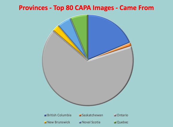Pie Chart of CAPA images for 4-nation competitions